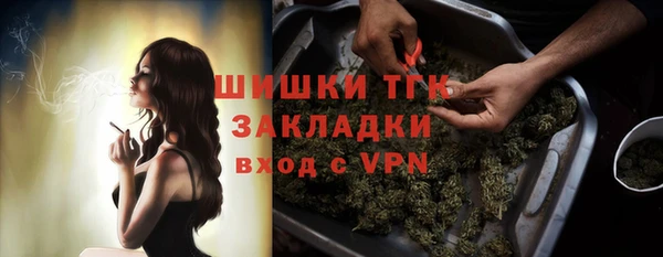 ПСИЛОЦИБИНОВЫЕ ГРИБЫ Инсар