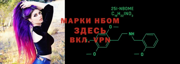 ПСИЛОЦИБИНОВЫЕ ГРИБЫ Инсар