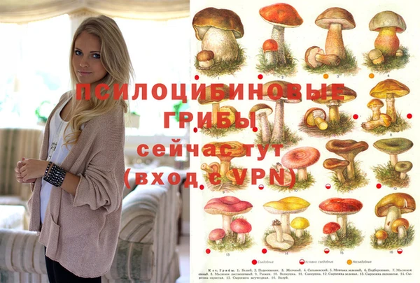 героин Карталы