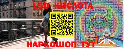 гидра Заволжье