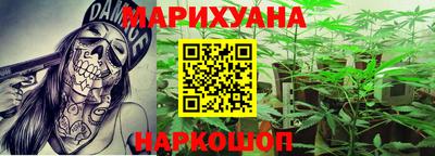 гидра Заволжье