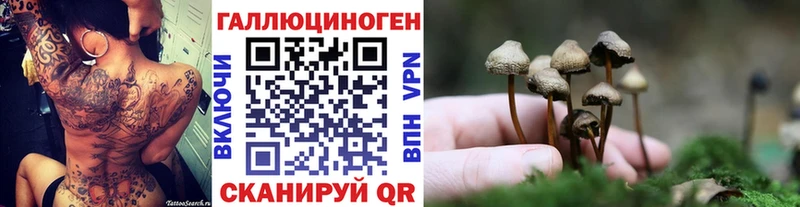 Галлюциногенные грибы Psilocybine cubensis  мега ONION  Нижнекамск  купить  цена 