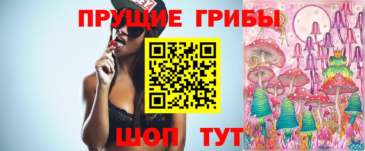 Галлюциногенные грибы Psilocybe  Вход с VPN  Псилоцибиновые грибы GOLDEN TEACHER  Нижнекамск 
