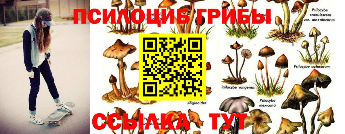 Псилоцибиновые грибы Magic Shrooms Нижнекамск